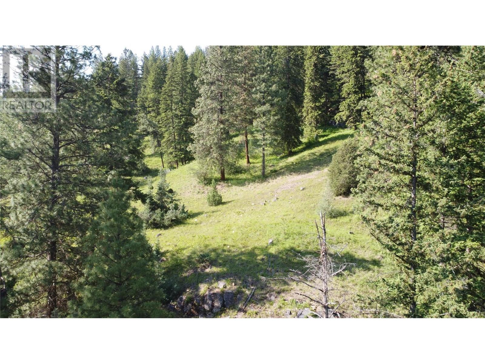 40 Acres Shuswap River Drive, Lumby