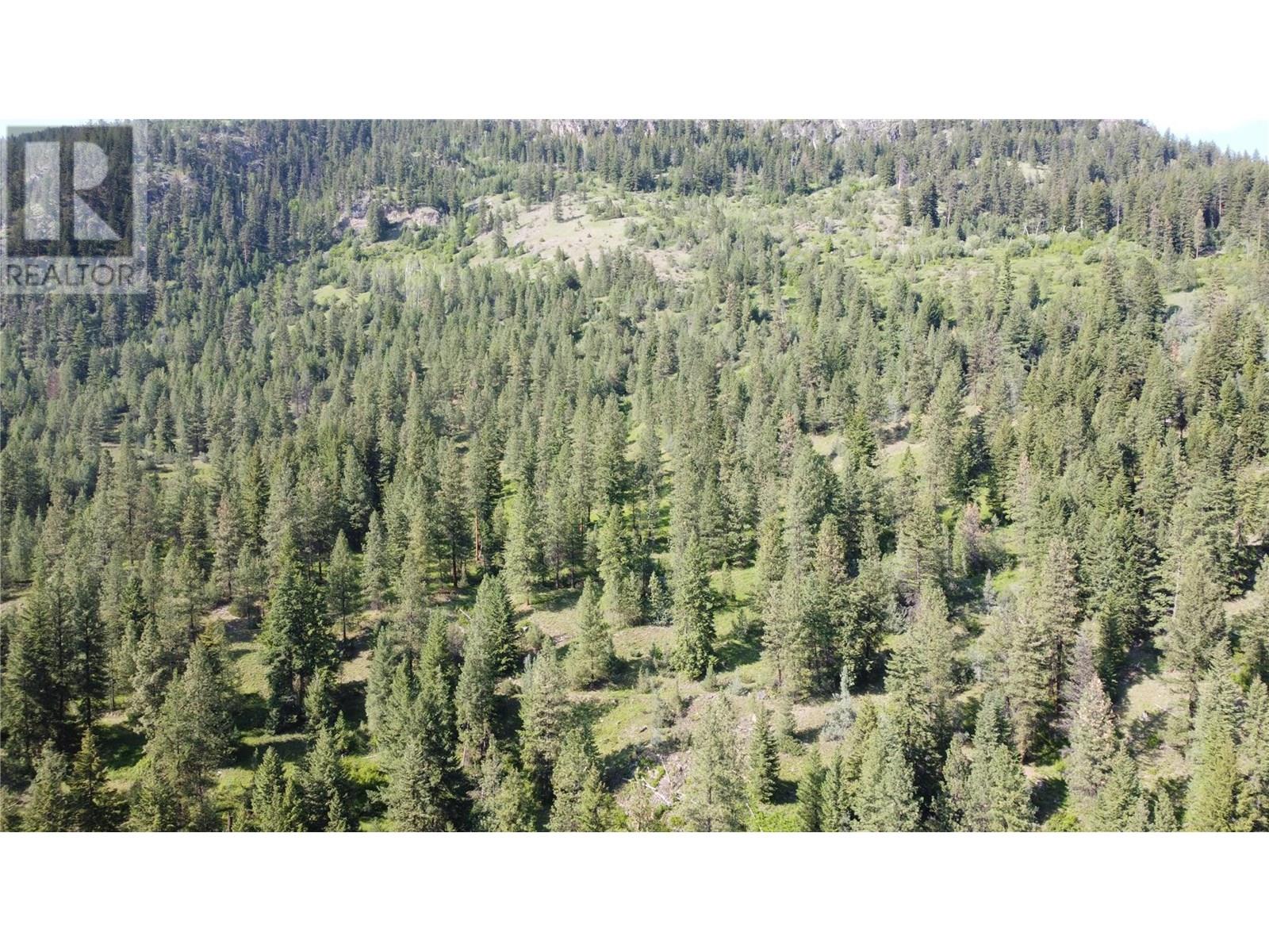 40 Acres Shuswap River Drive, Lumby
