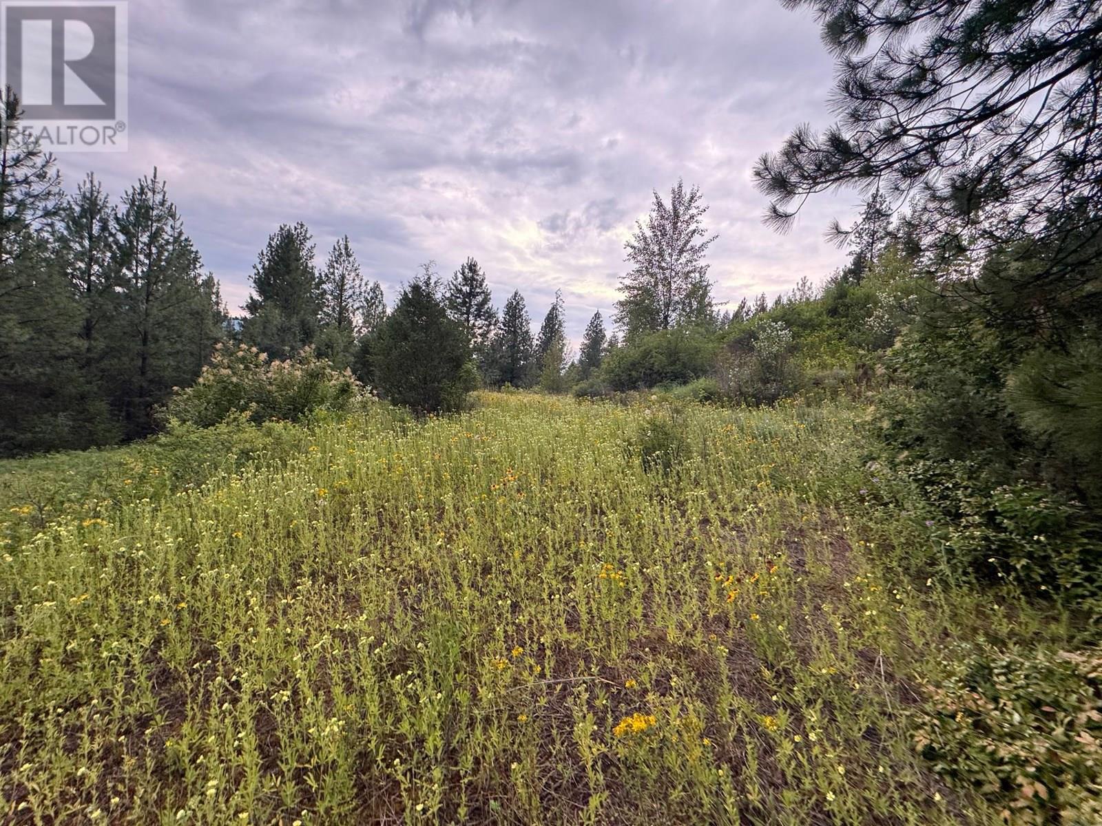 40 Acres Shuswap River Drive, Lumby