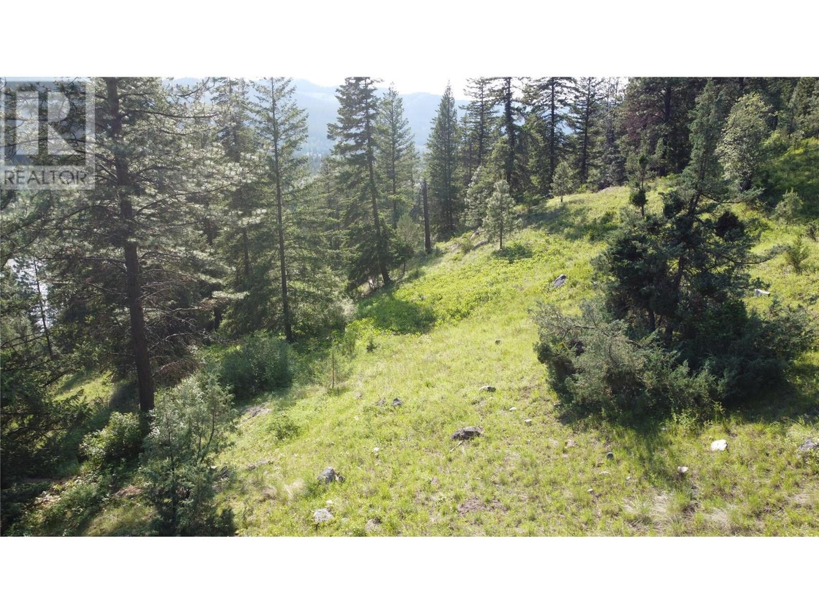 40 Acres Shuswap River Drive, Lumby
