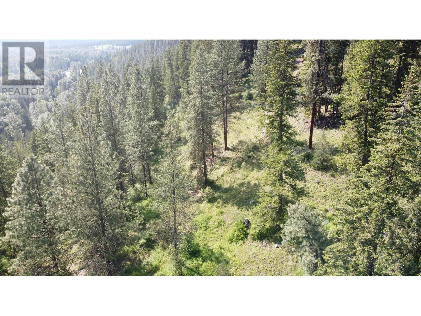 40 Acres Shuswap River Drive, Lumby