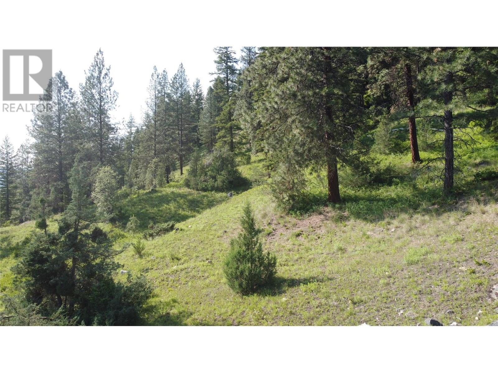 40 Acres Shuswap River Drive, Lumby