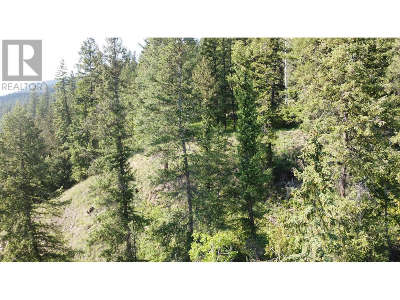 40 Acres Shuswap River Drive, Lumby