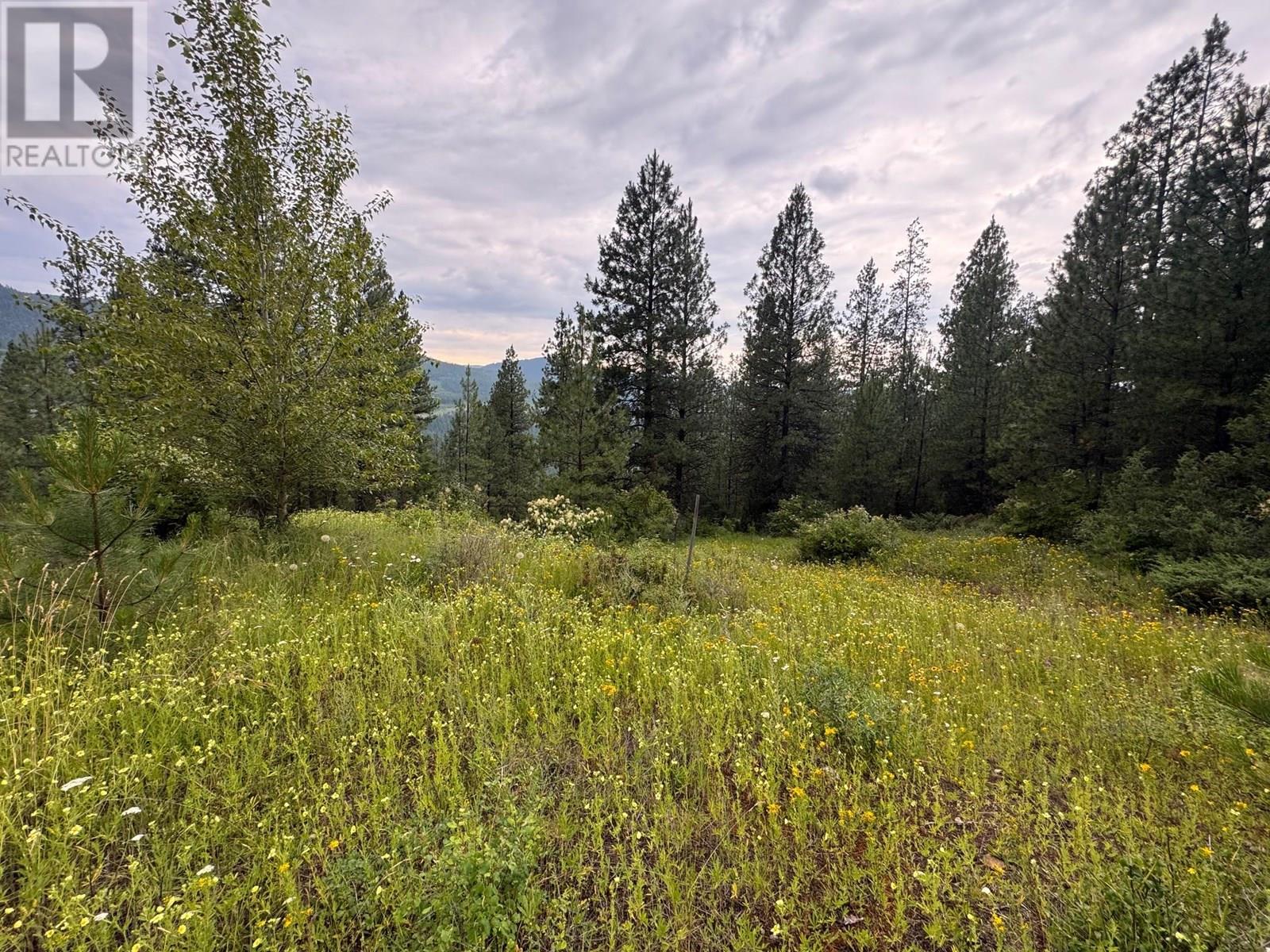 40 Acres Shuswap River Drive, Lumby