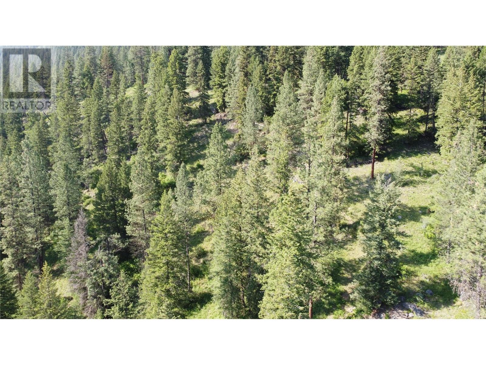 40 Acres Shuswap River Drive, Lumby
