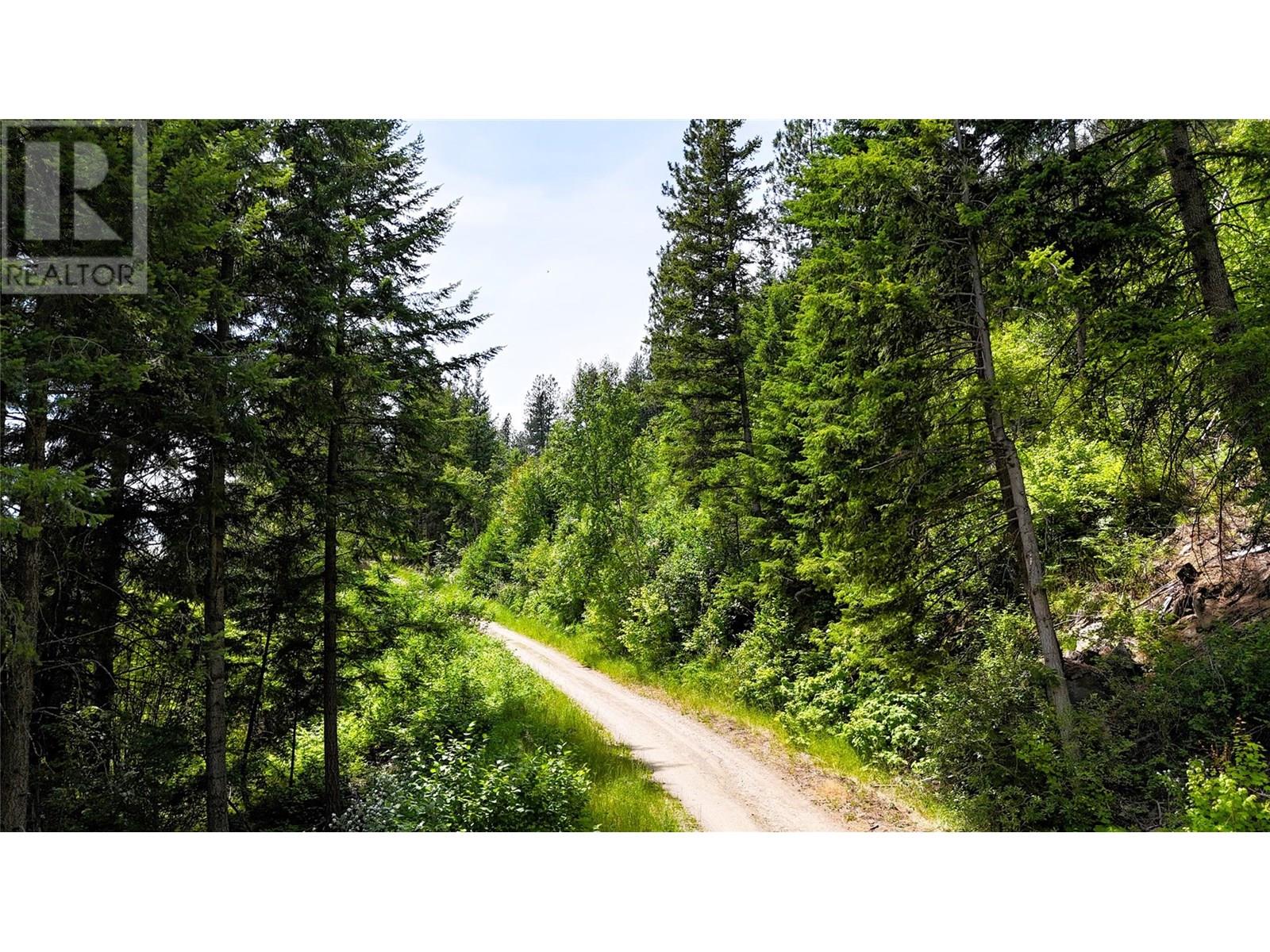 SENTINEL MOUNTAIN FOREST SERVICE ROAD ROAD - 11