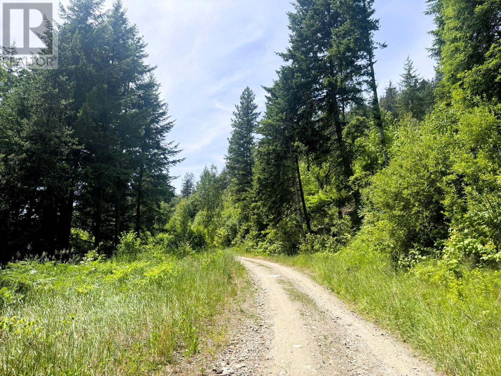 SENTINEL MOUNTAIN FOREST SERVICE ROAD ROAD - 12