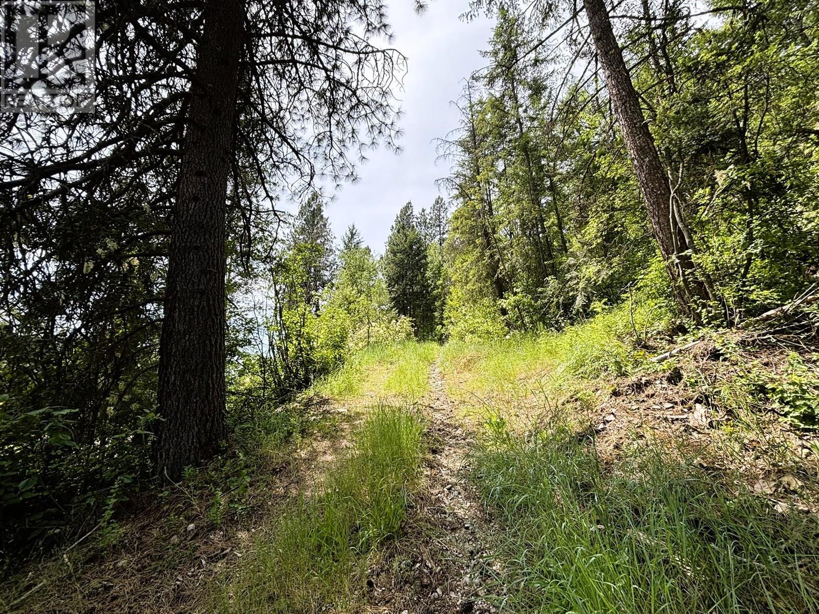 SENTINEL MOUNTAIN FOREST SERVICE ROAD ROAD - 13