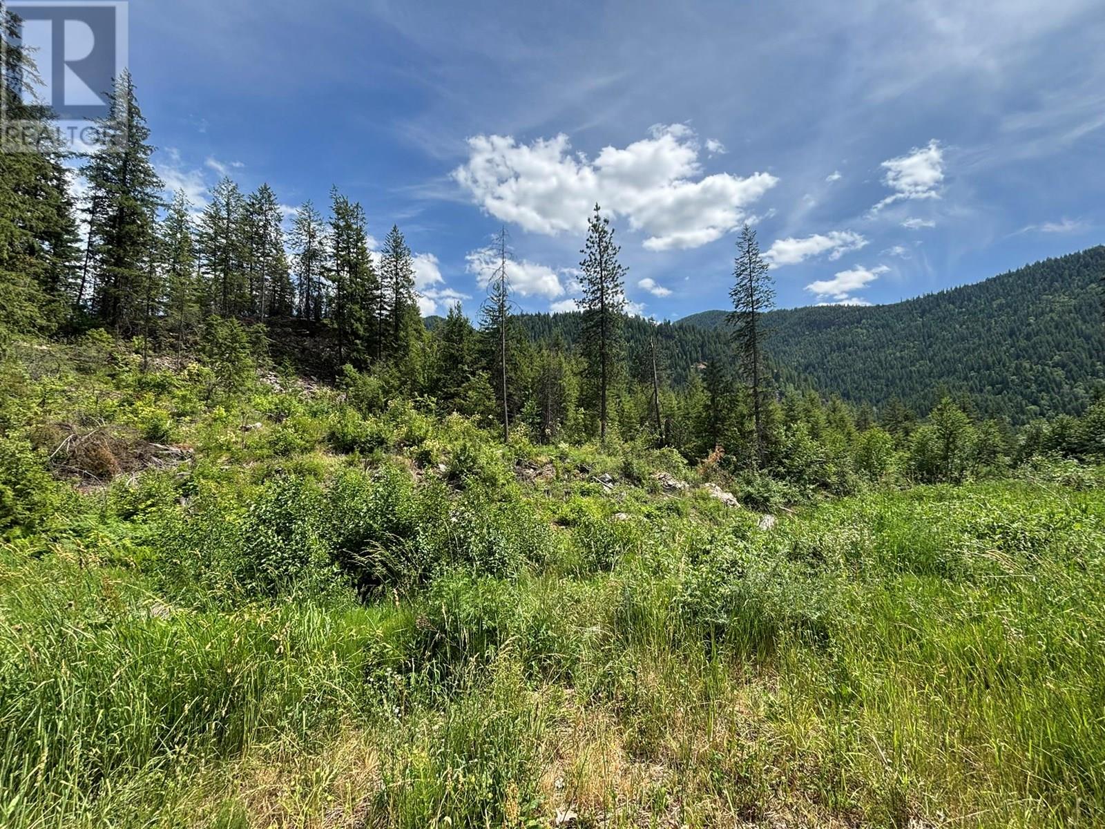 SENTINEL MOUNTAIN FOREST SERVICE ROAD ROAD - 14