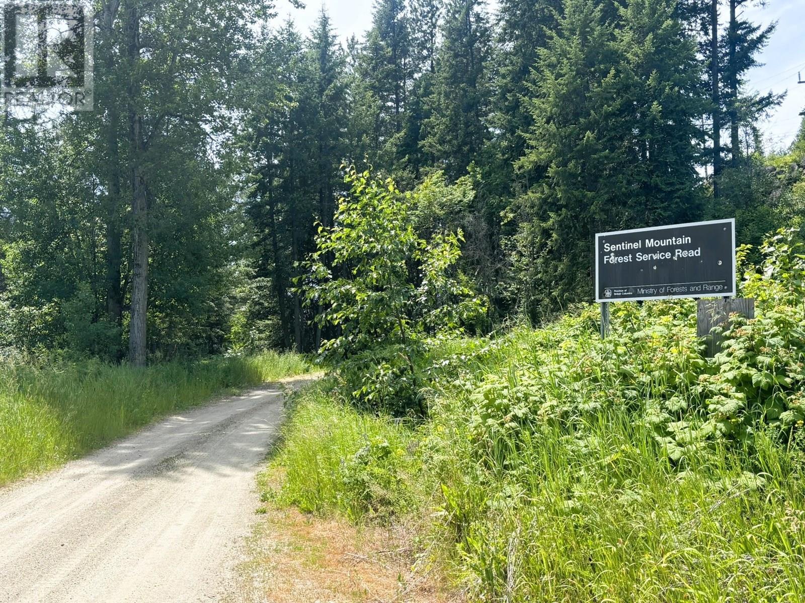SENTINEL MOUNTAIN FOREST SERVICE ROAD ROAD - 15