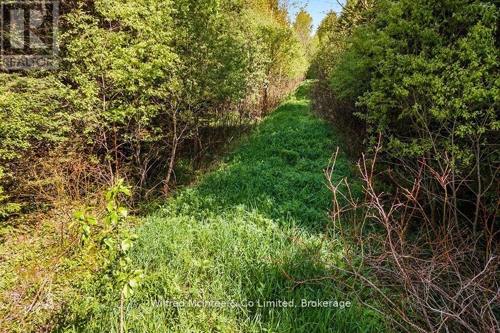 Photo 24 of 8446 Line 12, Wellington North ON