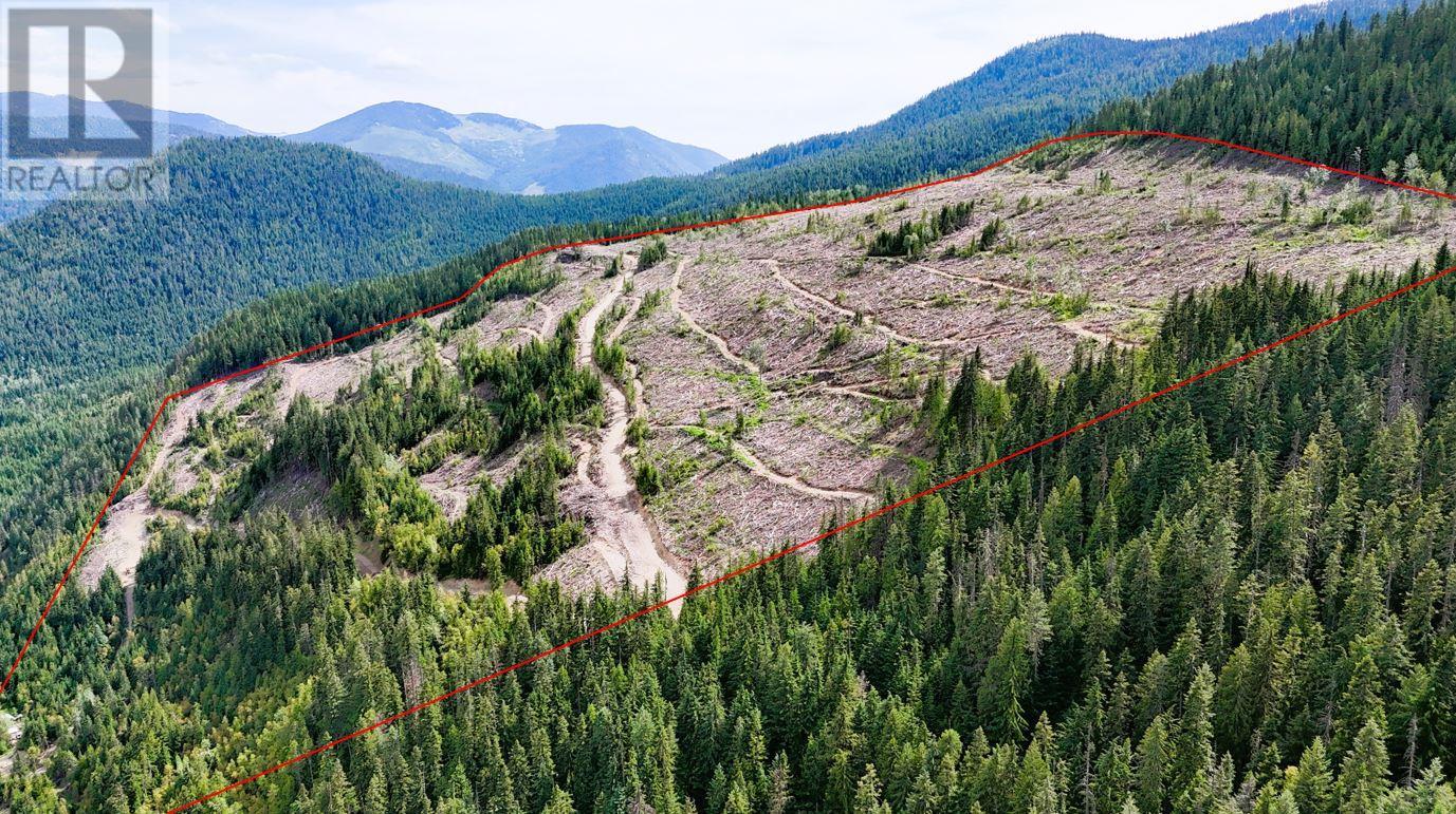 Photo 2 of Quartz Creek Forest Service Road Road Lot Parcel A, Ymir BC