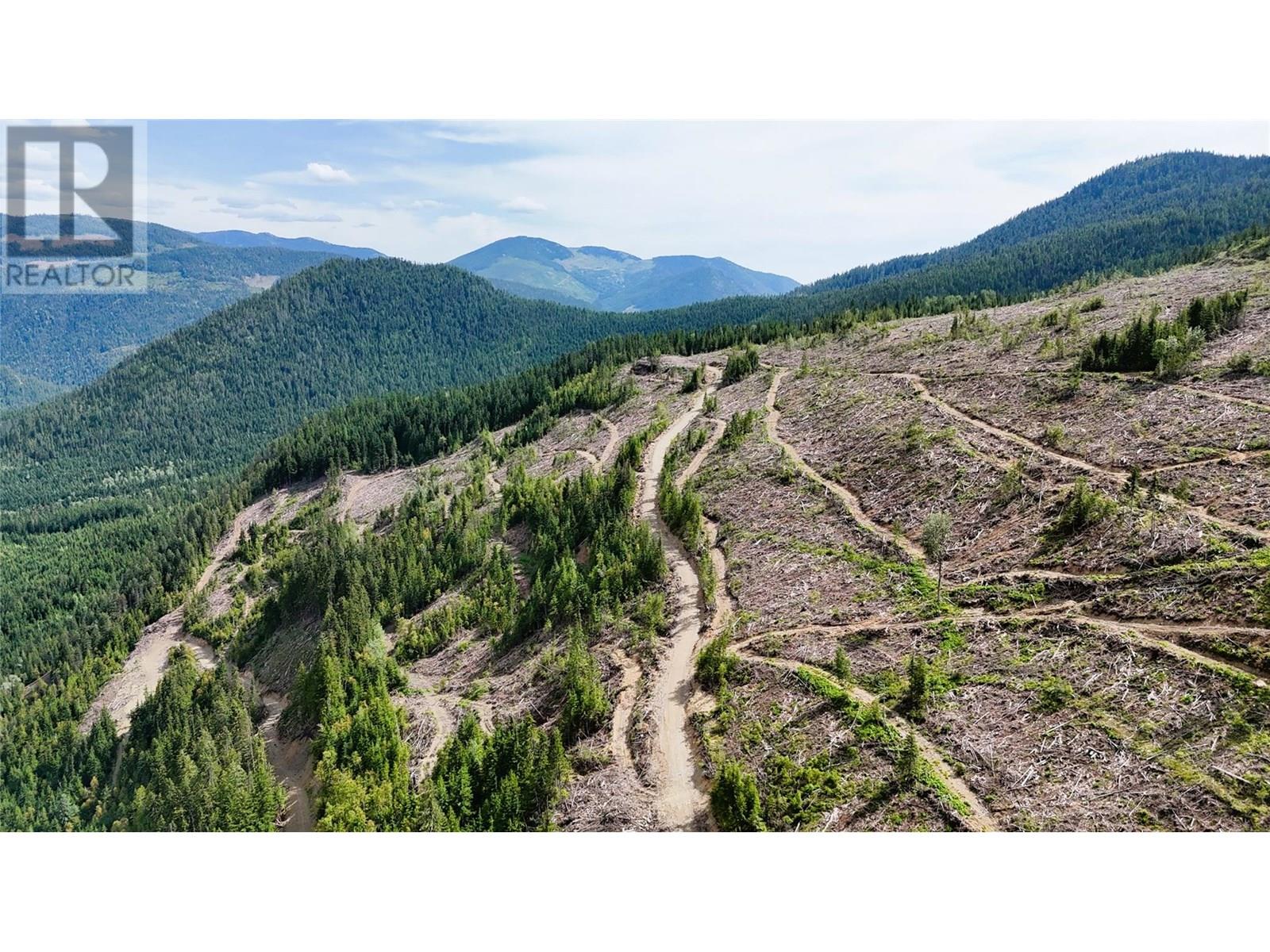 Photo 1 of Quartz Creek Forest Service Road Road Lot Parcel A, Ymir BC