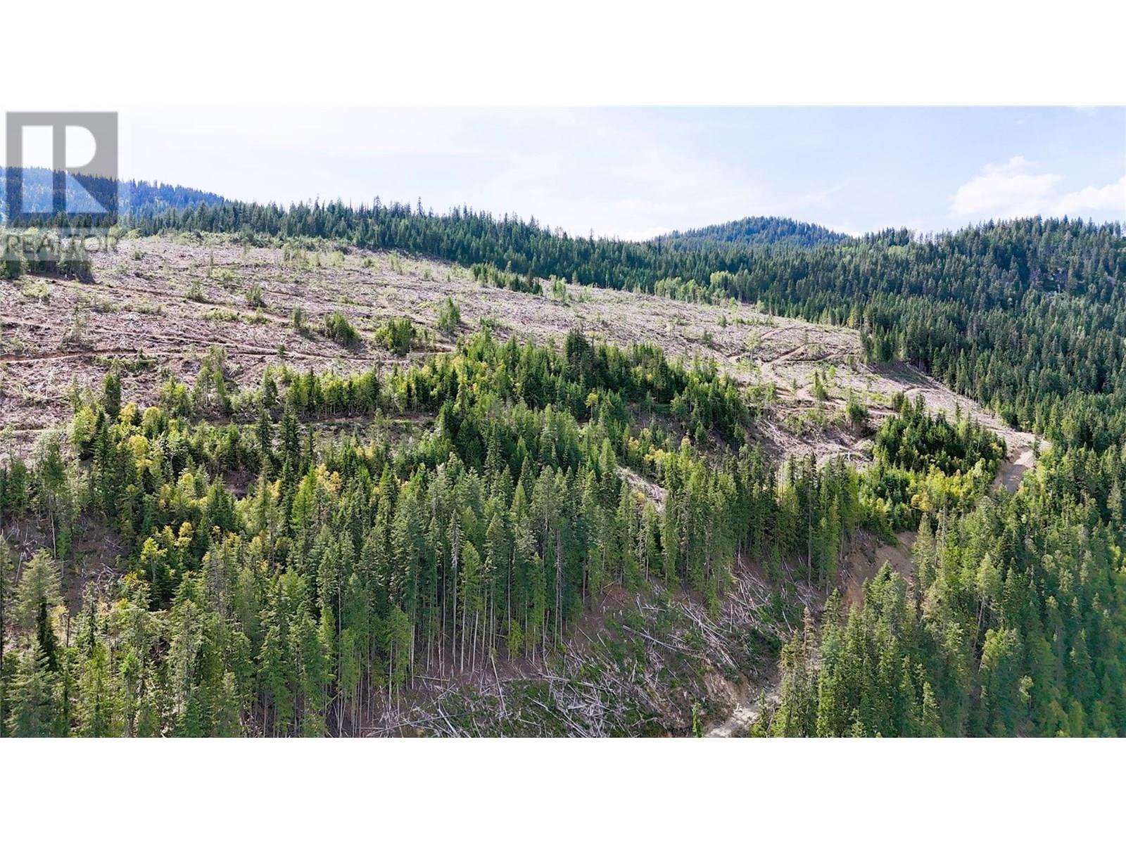 Photo 11 of Quartz Creek Forest Service Road Road Lot Parcel A, Ymir BC