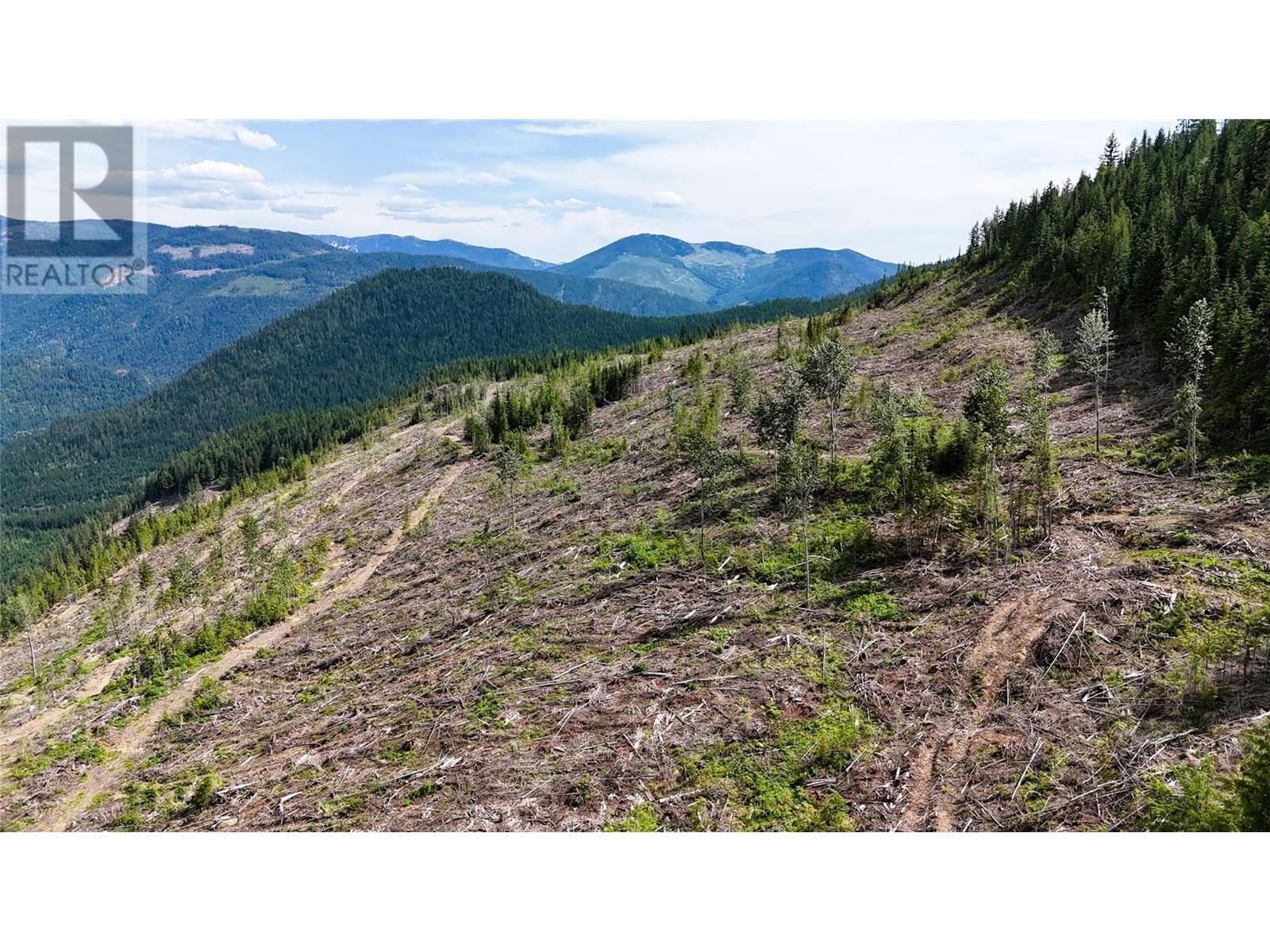 Photo 3 of Quartz Creek Forest Service Road Road Lot Parcel A, Ymir BC