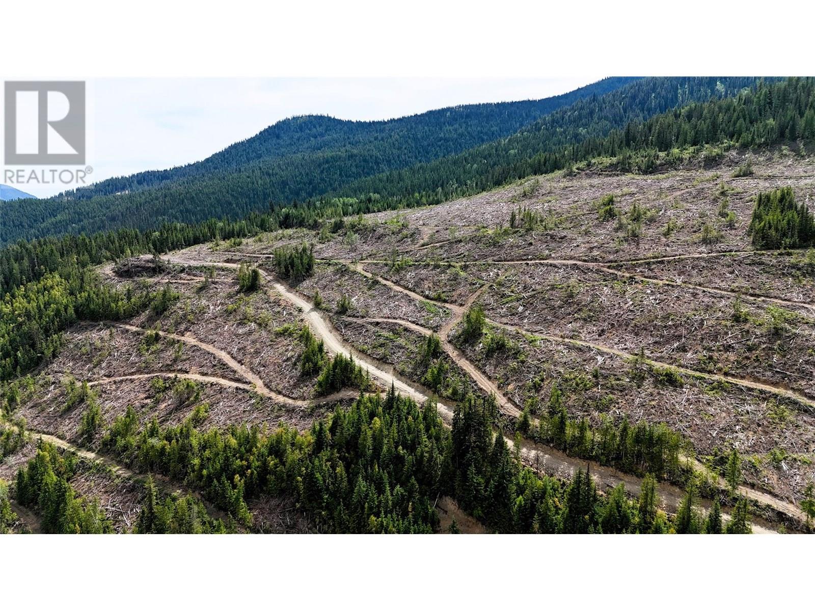Photo 9 of Quartz Creek Forest Service Road Road Lot Parcel A, Ymir BC