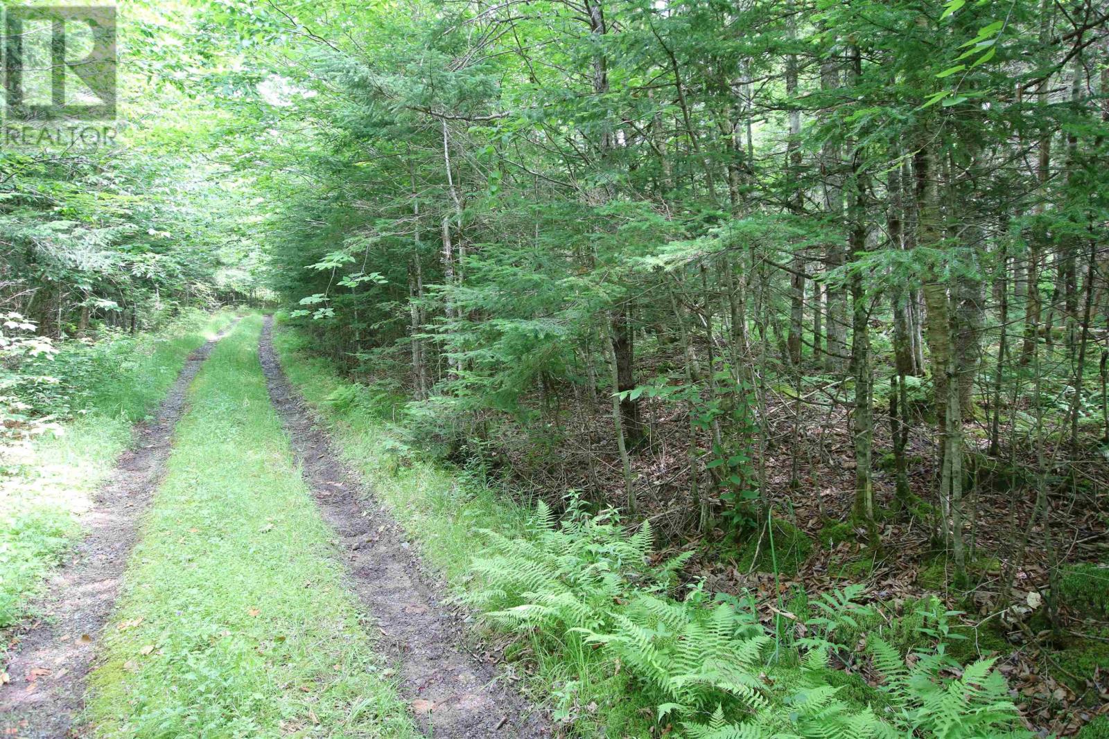Vacant Land for Sale in Lot  Birch Road Branch Ogden 