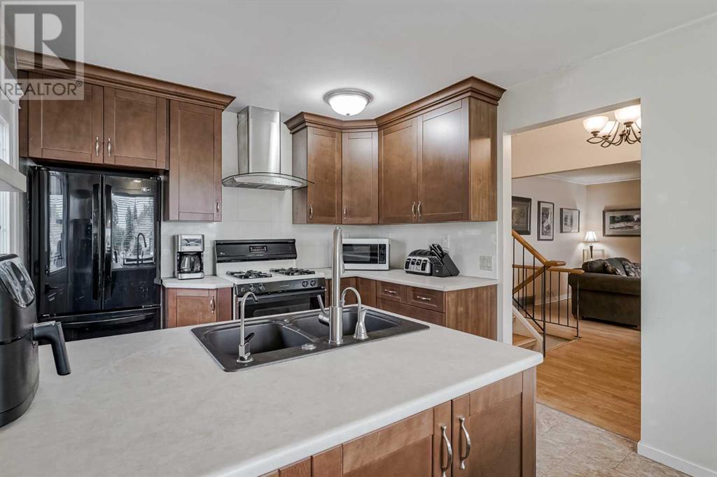 Single Family House 4 Level for Sale in  Radcliffe Place SE Albert Park/Radisson Heights Calgary 