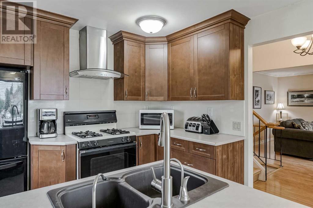 Single Family House 4 Level for Sale in  Radcliffe Place SE Albert Park/Radisson Heights Calgary 