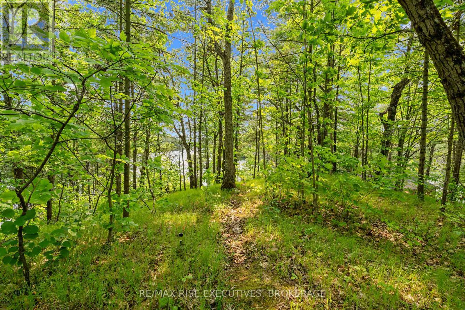 Photo 23 of 252 Dean Island Road, Rideau Lakes ON