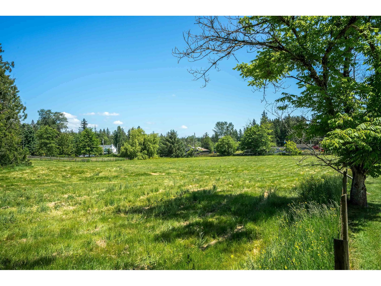 Photo 1 of 333 224 Street, Langley BC