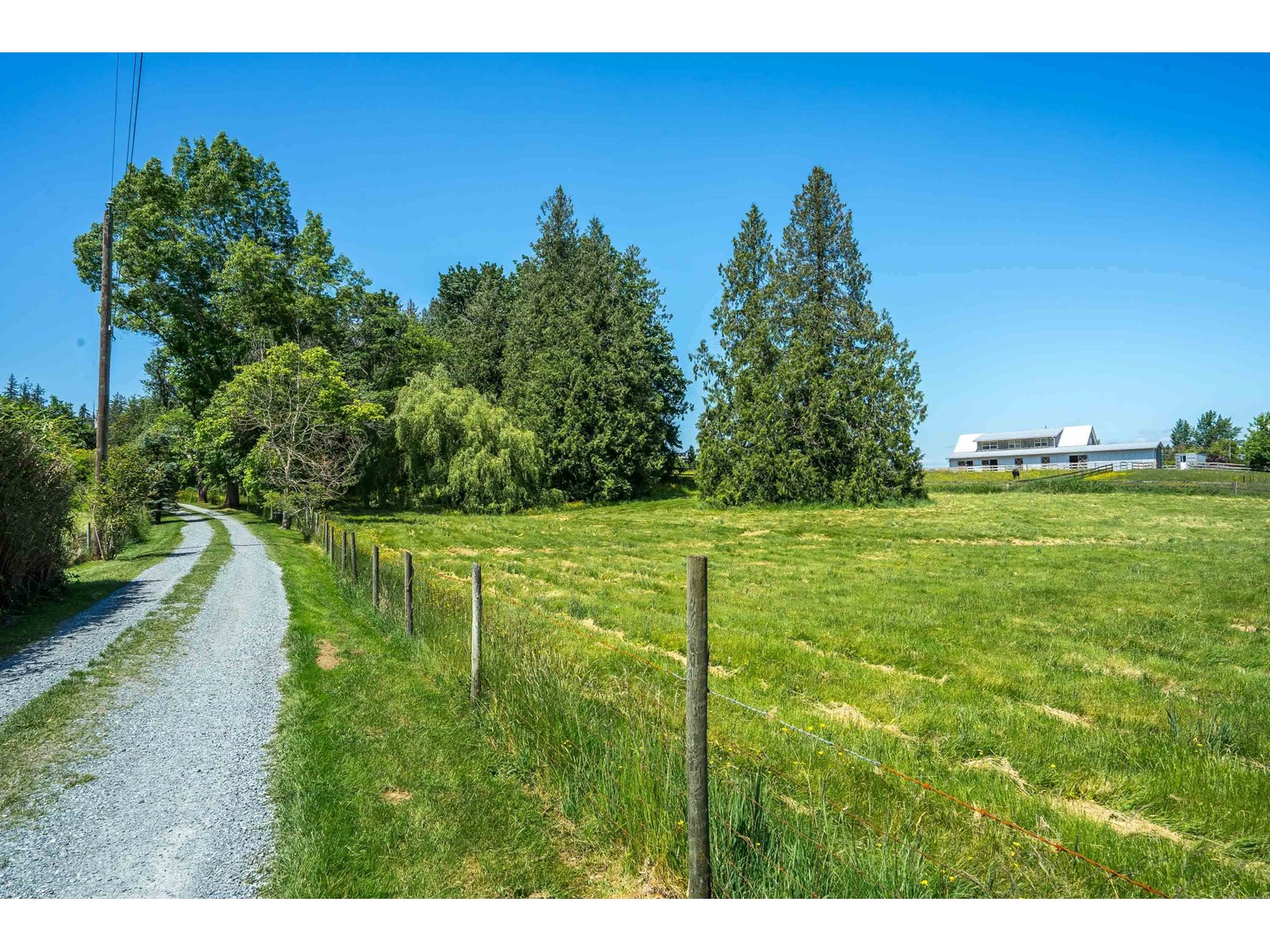 Photo 3 of 333 224 Street, Langley BC
