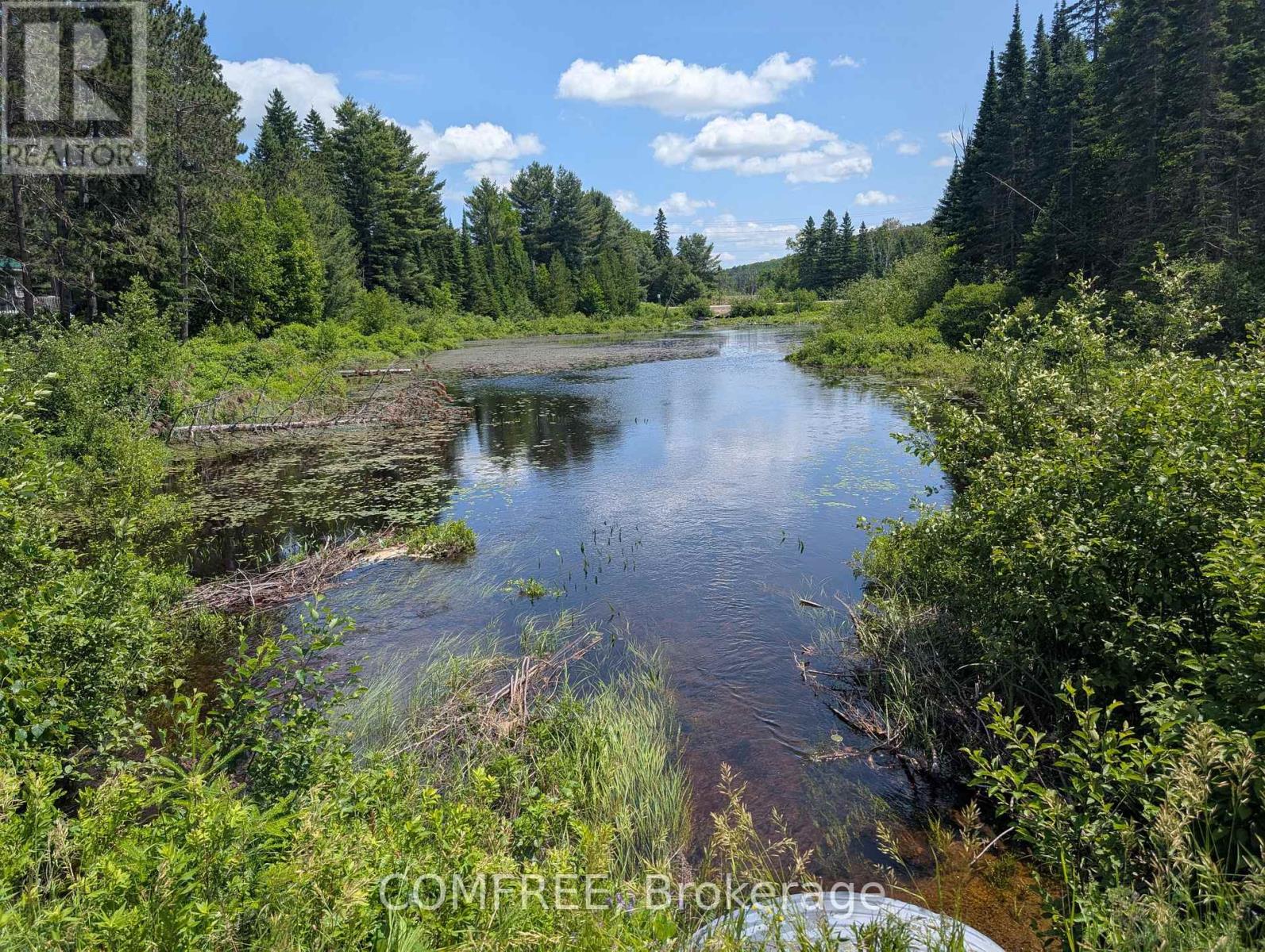 38 BOULTER LAKE ROAD — photo 49