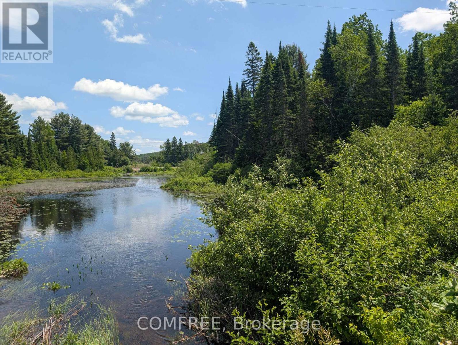 38 BOULTER LAKE ROAD — photo 50