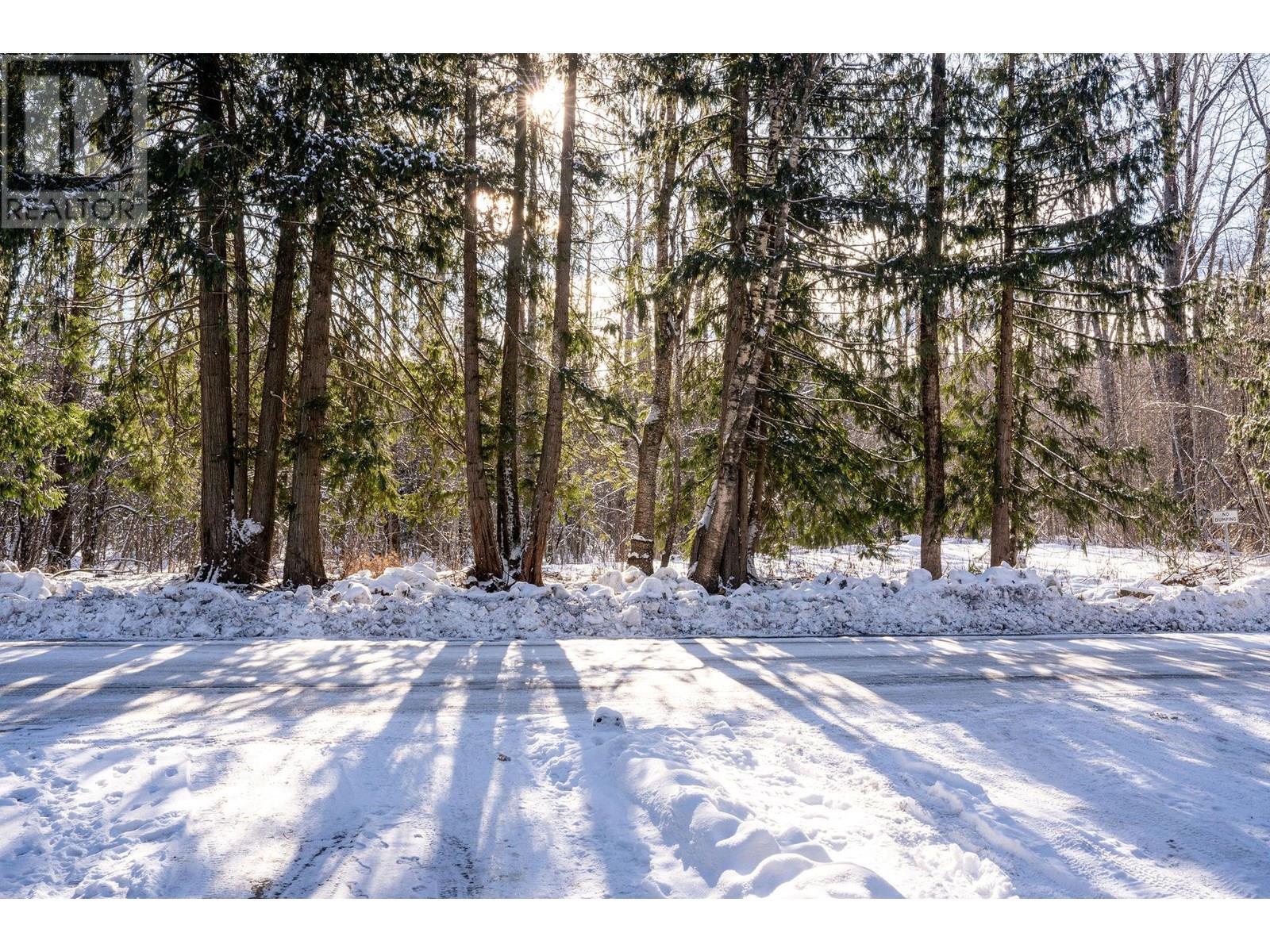1079 Lundell Road Unit# 3, Revelstoke