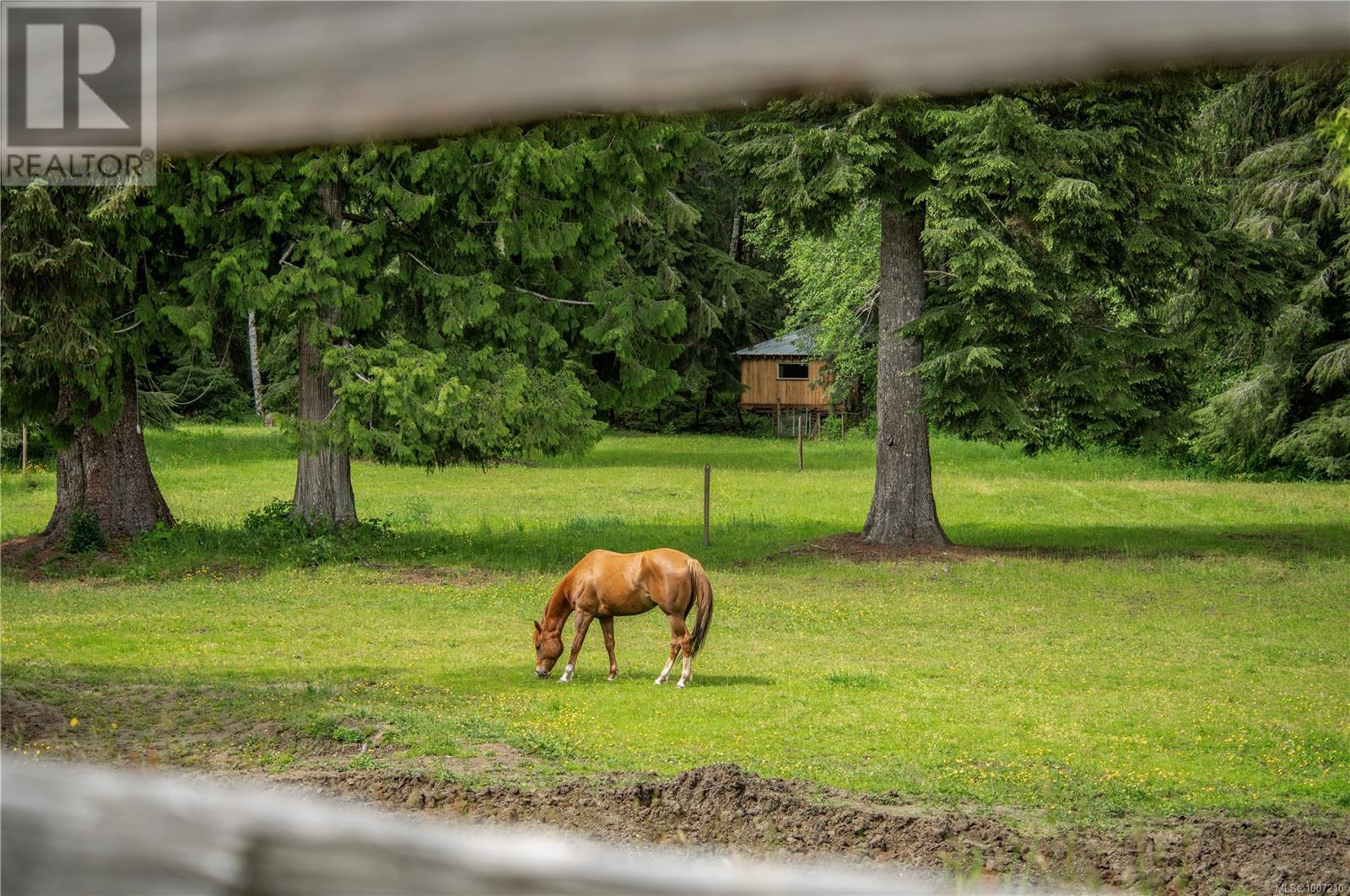 Photo 48 of 870 Sayward Rd, Sayward BC
