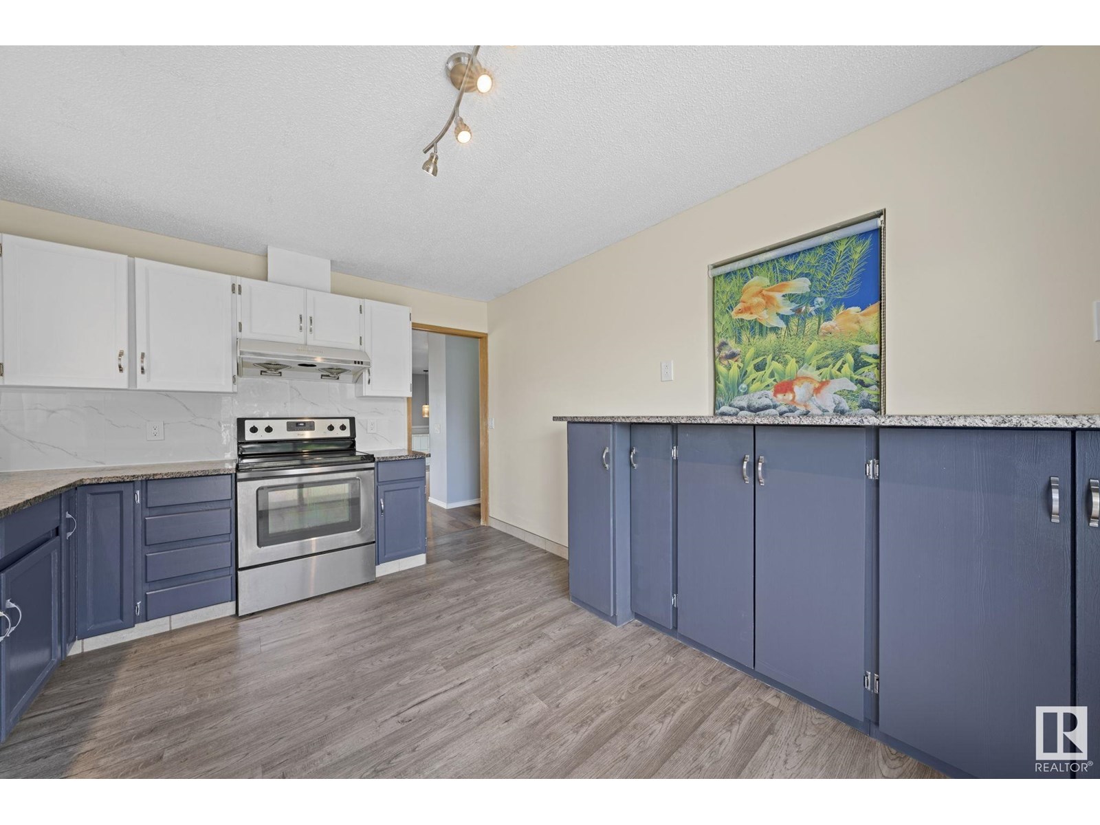 Photo 19 of 10458 14 Av Nw Nw, Edmonton AB