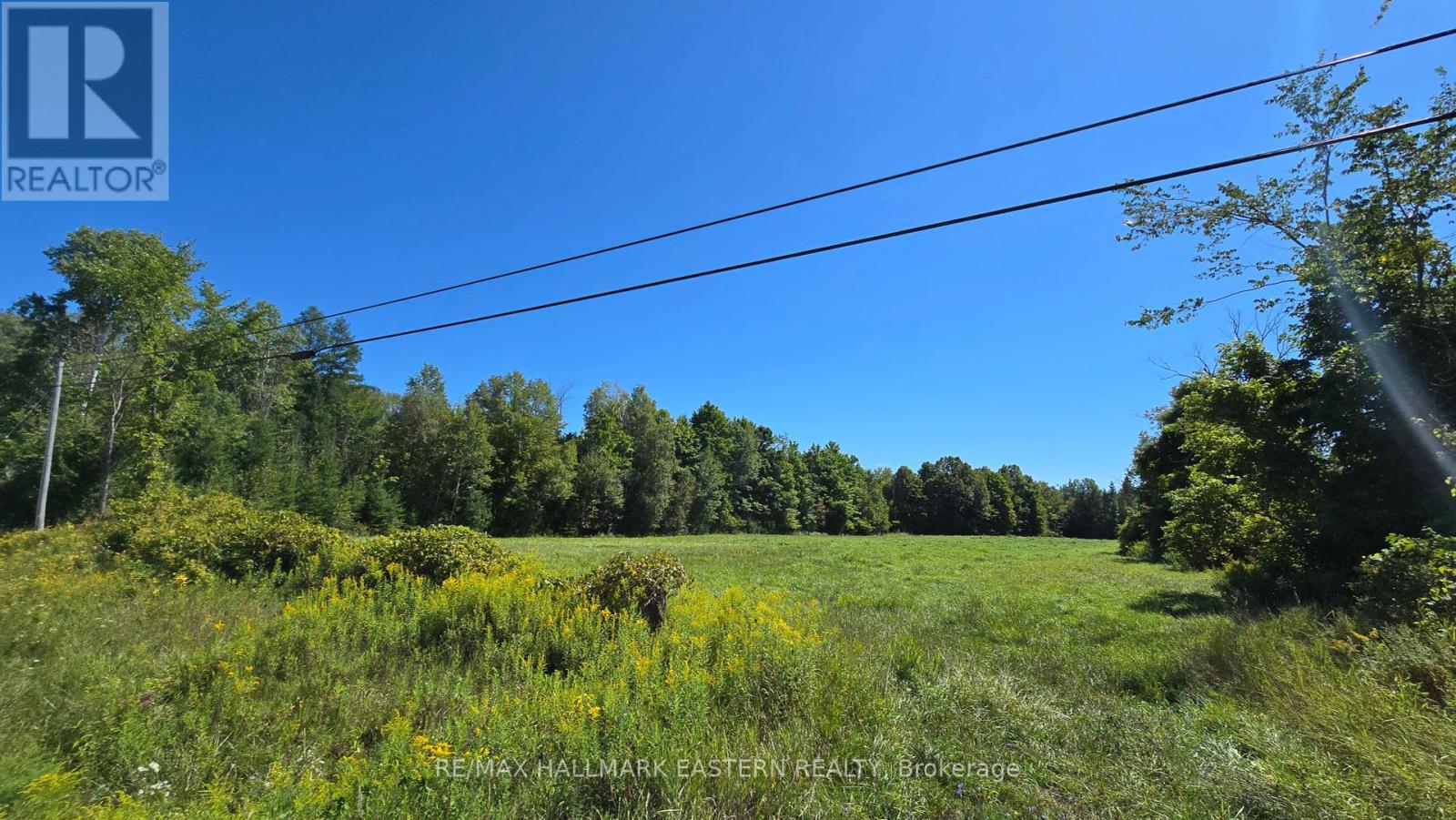 Photo 4 of N A County 48 Road, Havelockbelmontmethuen ON