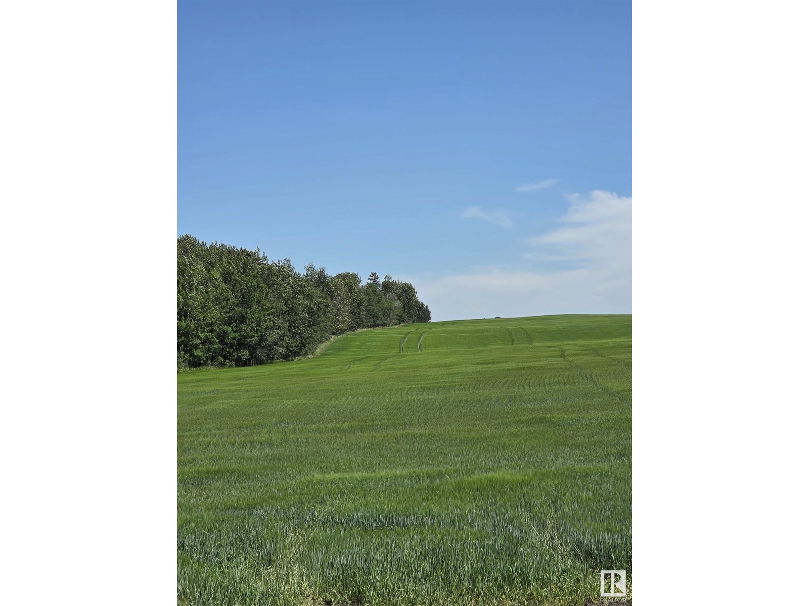 Photo 3 of Hwy 2 A Rr 245, Rural Leduc County AB