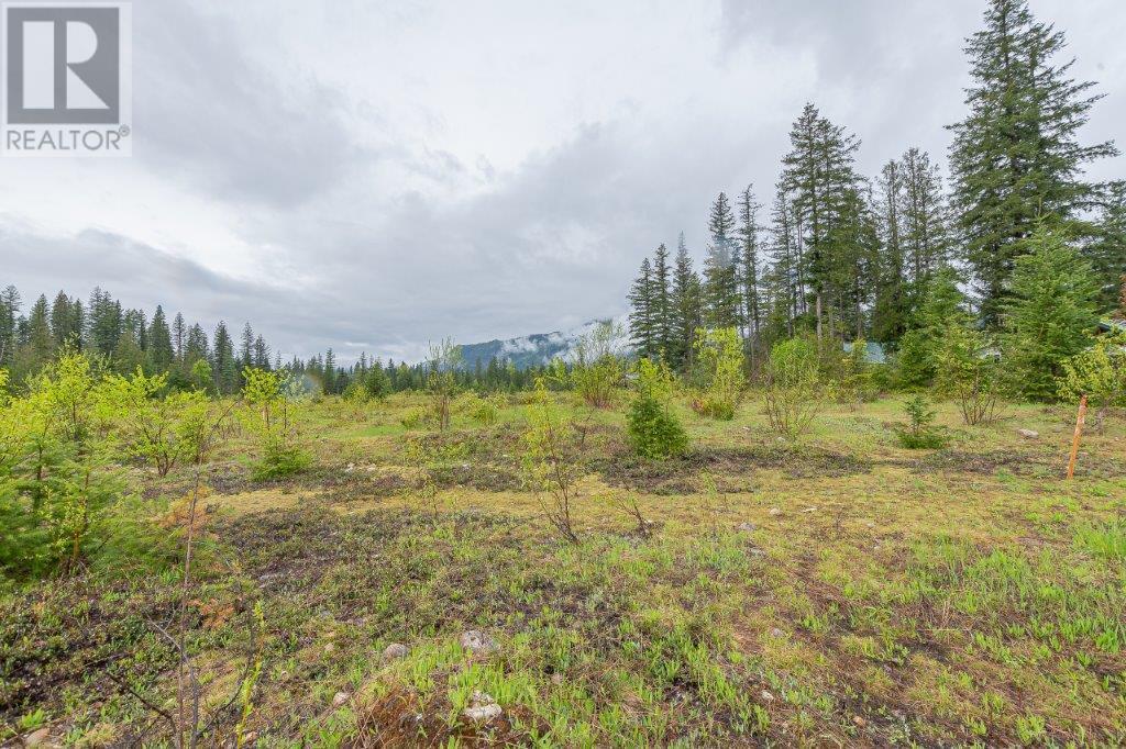 Photo 6 of 4103 Balsam Way, Malakwa BC