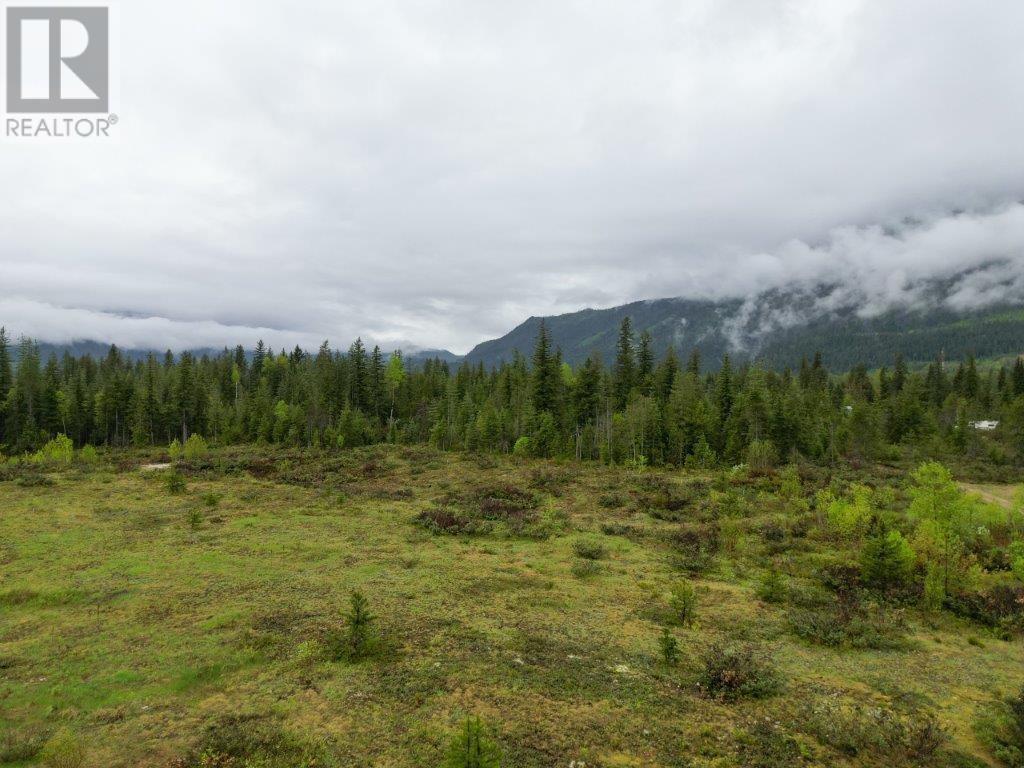 Photo 47 of 4103 Balsam Way, Malakwa BC