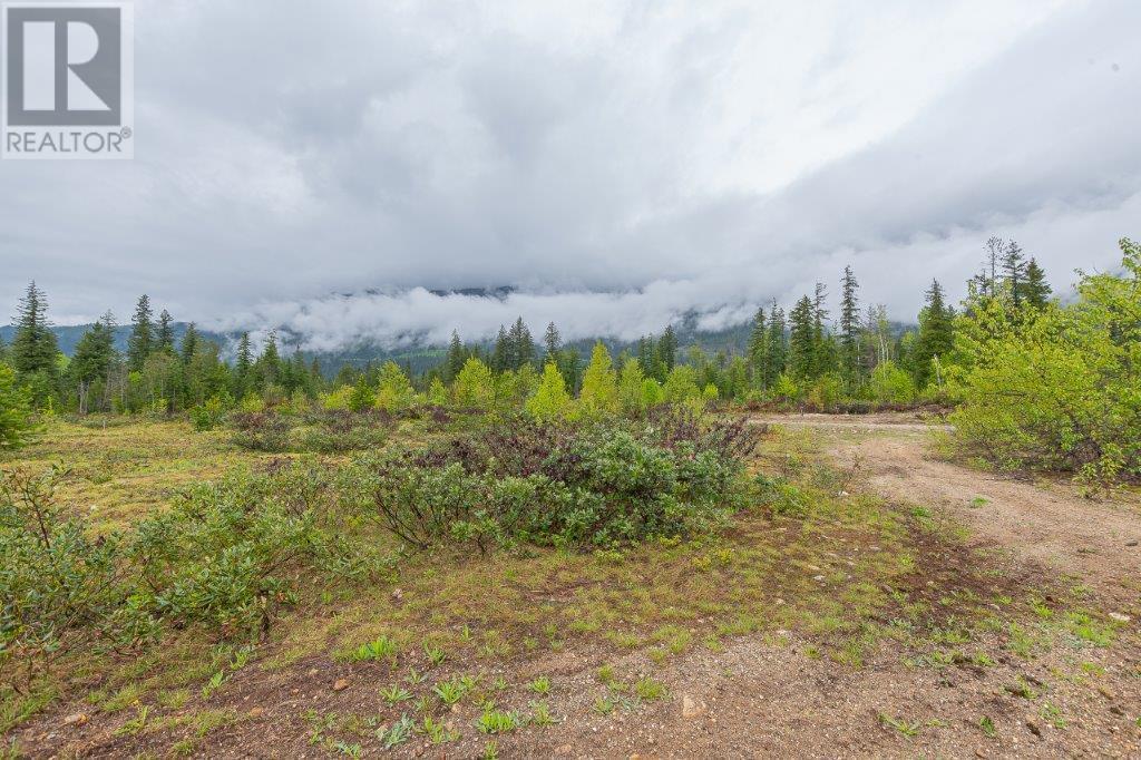 Photo 17 of 4103 Balsam Way, Malakwa BC