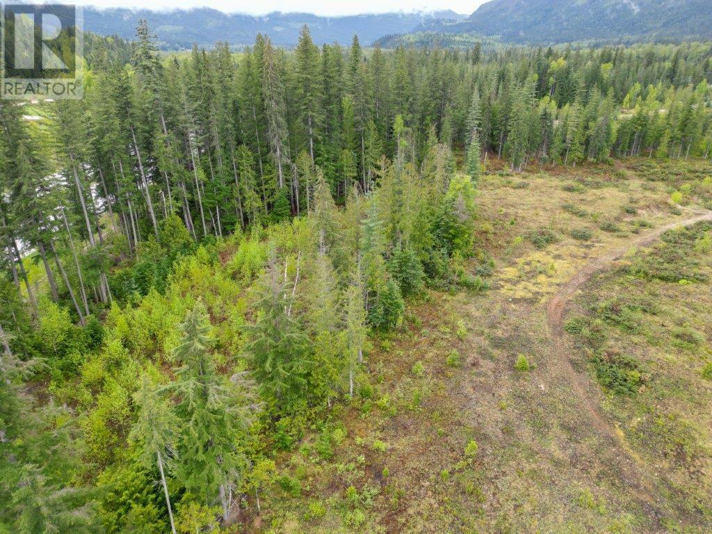 Photo 29 of 4103 Balsam Way, Malakwa BC