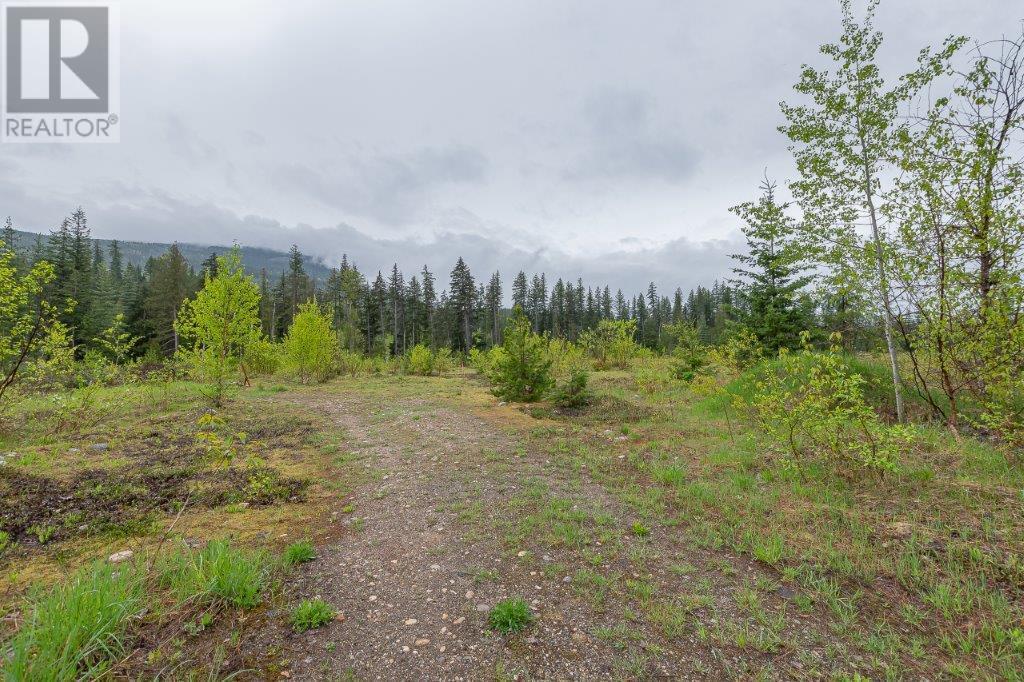 Photo 15 of 4103 Balsam Way, Malakwa BC