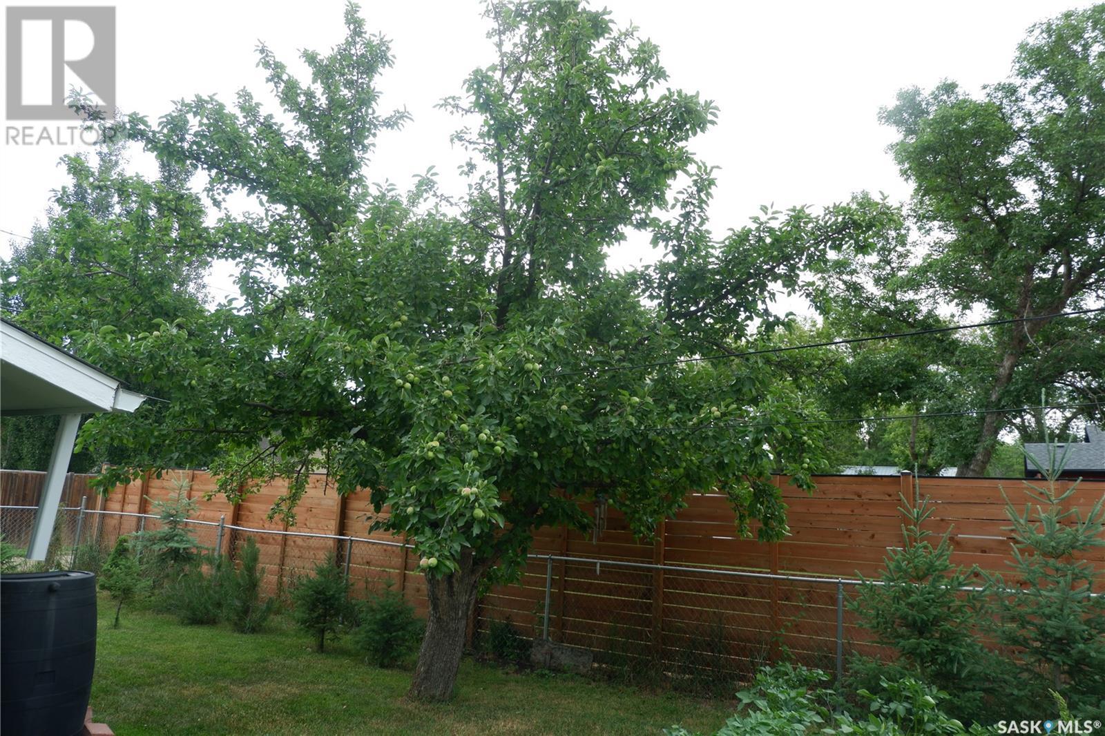 Photo 11 of 220 6th Avenue W, Assiniboia SK