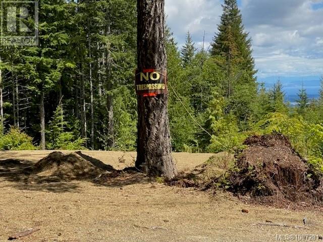 Lot 5 Forbidden Plateau Rd, Courtenay