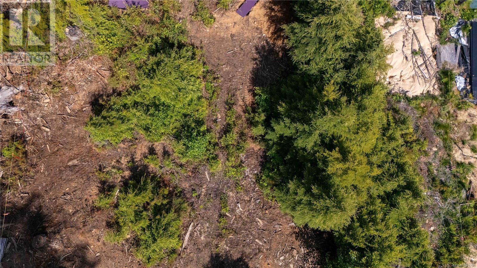 Lot 5 Forbidden Plateau Rd, Courtenay