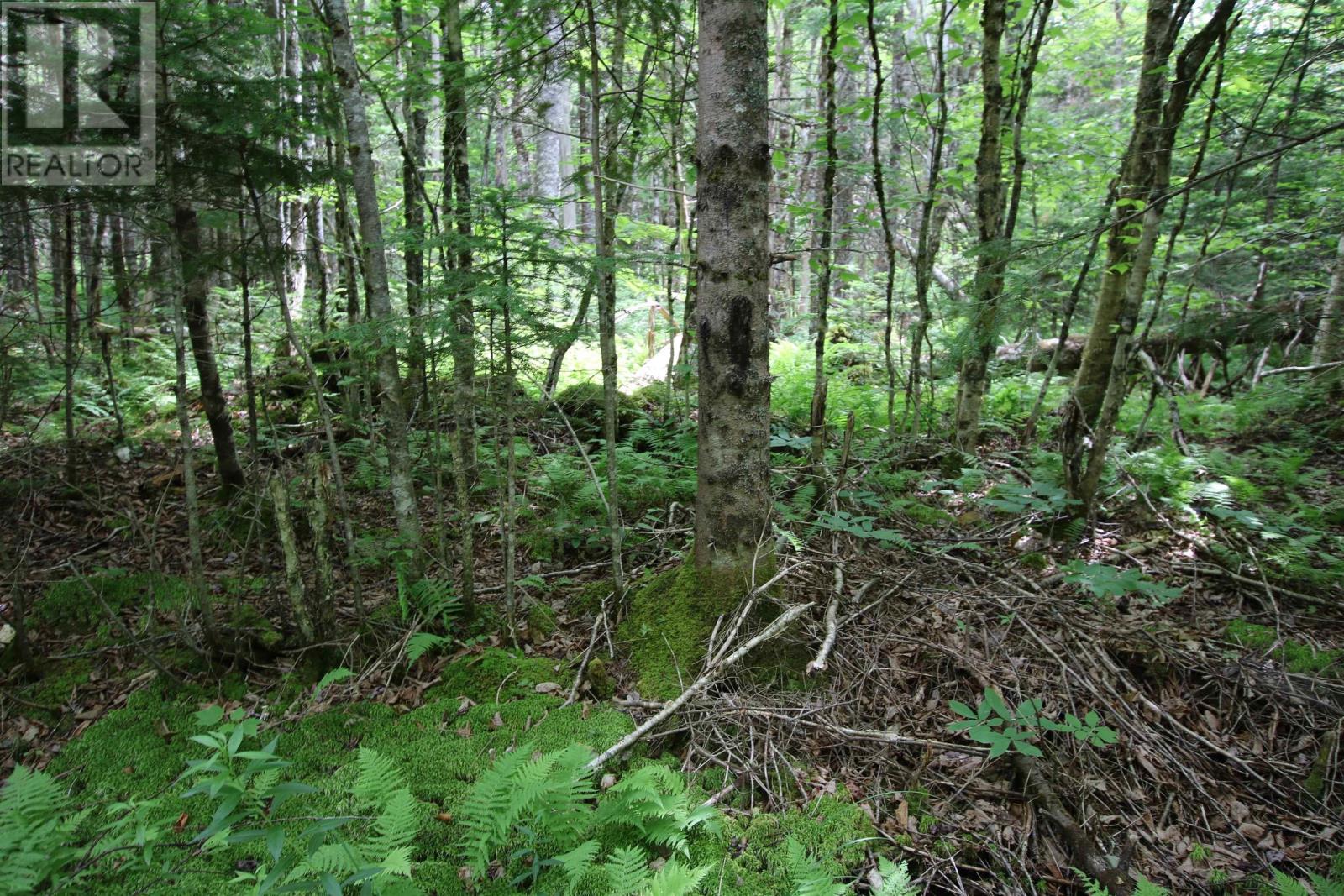 Vacant Land for Sale in Lot  Birch Road Branch Ogden 