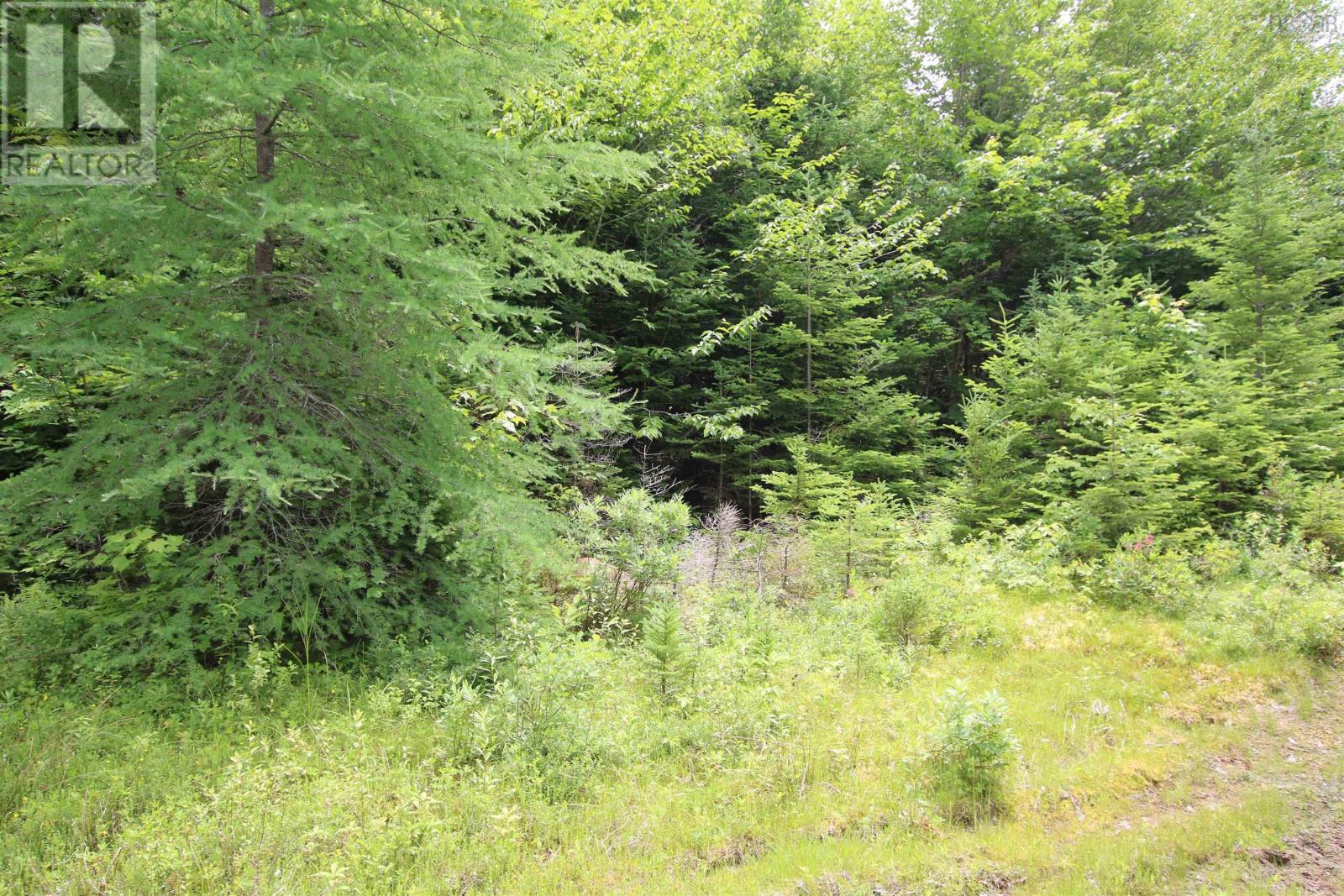 Vacant Land for Sale in Lot  Birch Road Branch Ogden 