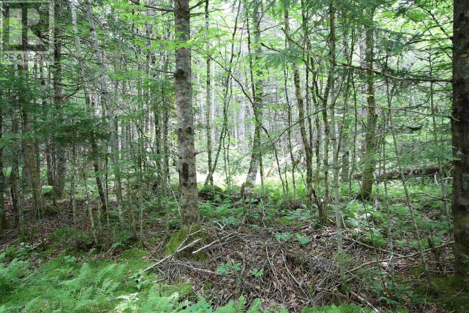 Vacant Land for Sale in Lot  Birch Road Branch Ogden 