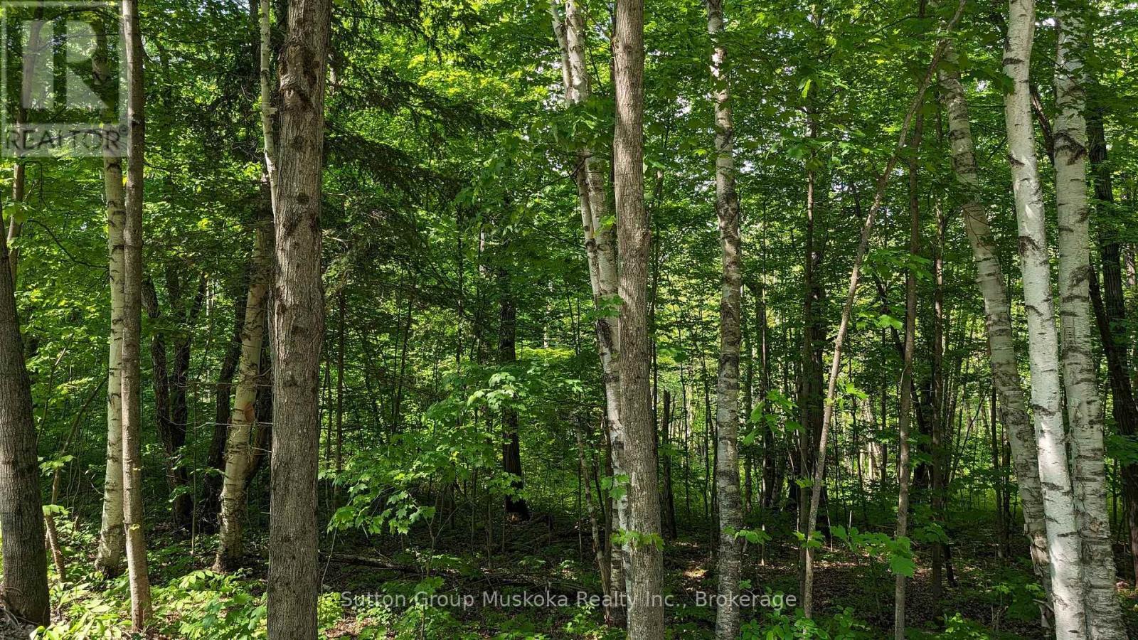 Photo 4 of Lot 1 Tally Ho Winter Park Road, Lake Of Bays ON