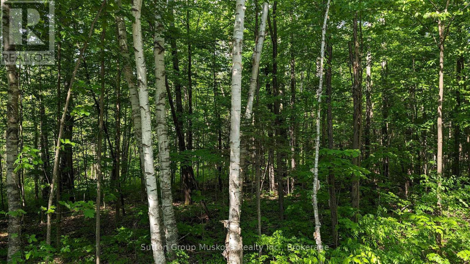 Photo 5 of Lot 1 Tally Ho Winter Park Road, Lake Of Bays ON
