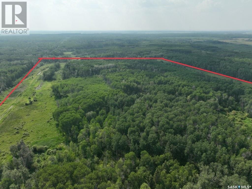 76 acre Hunters Retreat land — photo 19