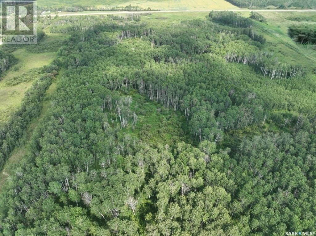 76 acre Hunters Retreat land — photo 21