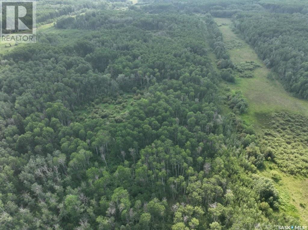 76 acre Hunters Retreat land — photo 22