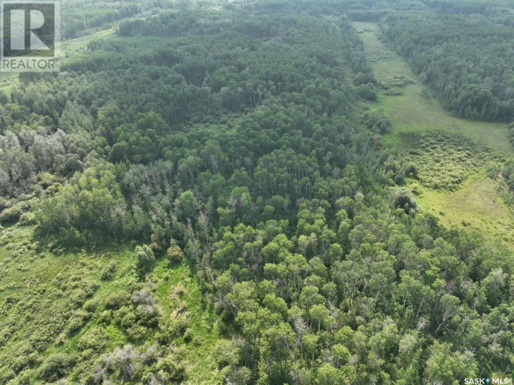 76 acre Hunters Retreat land — photo 31